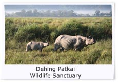 Dehing Patkai Wildlife Sanctuary